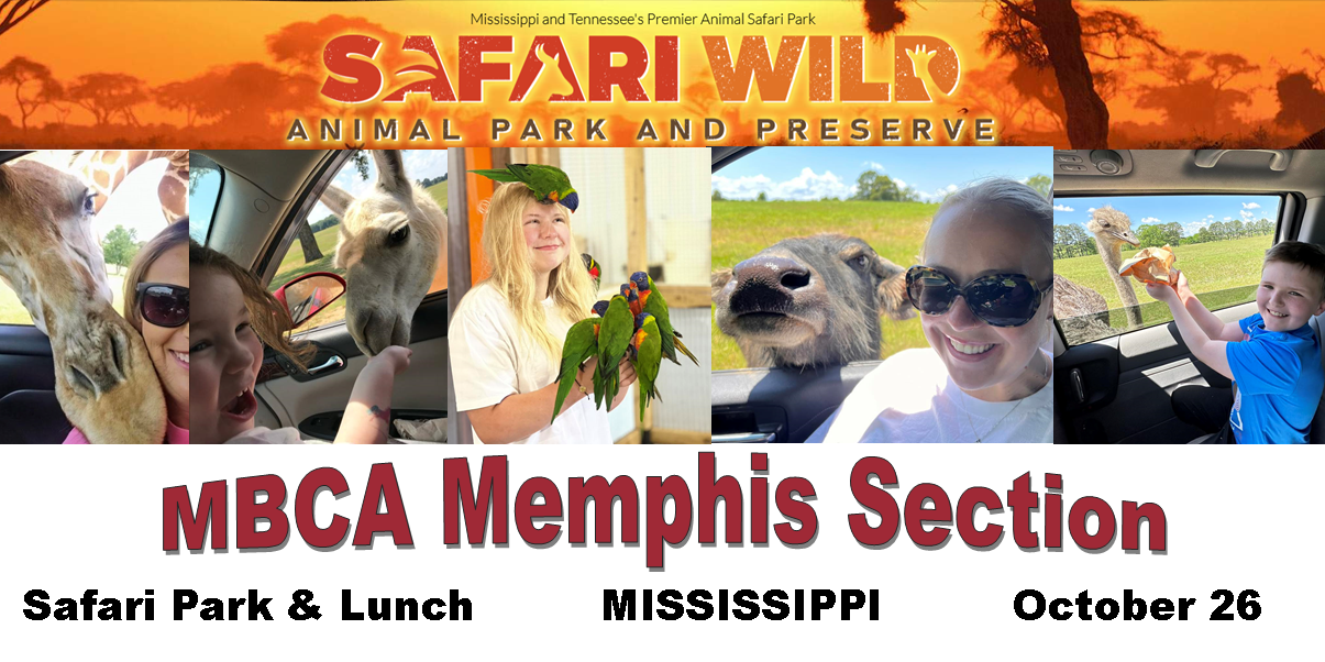 thumbnails MBCA Memphis Safari Park and Lunch